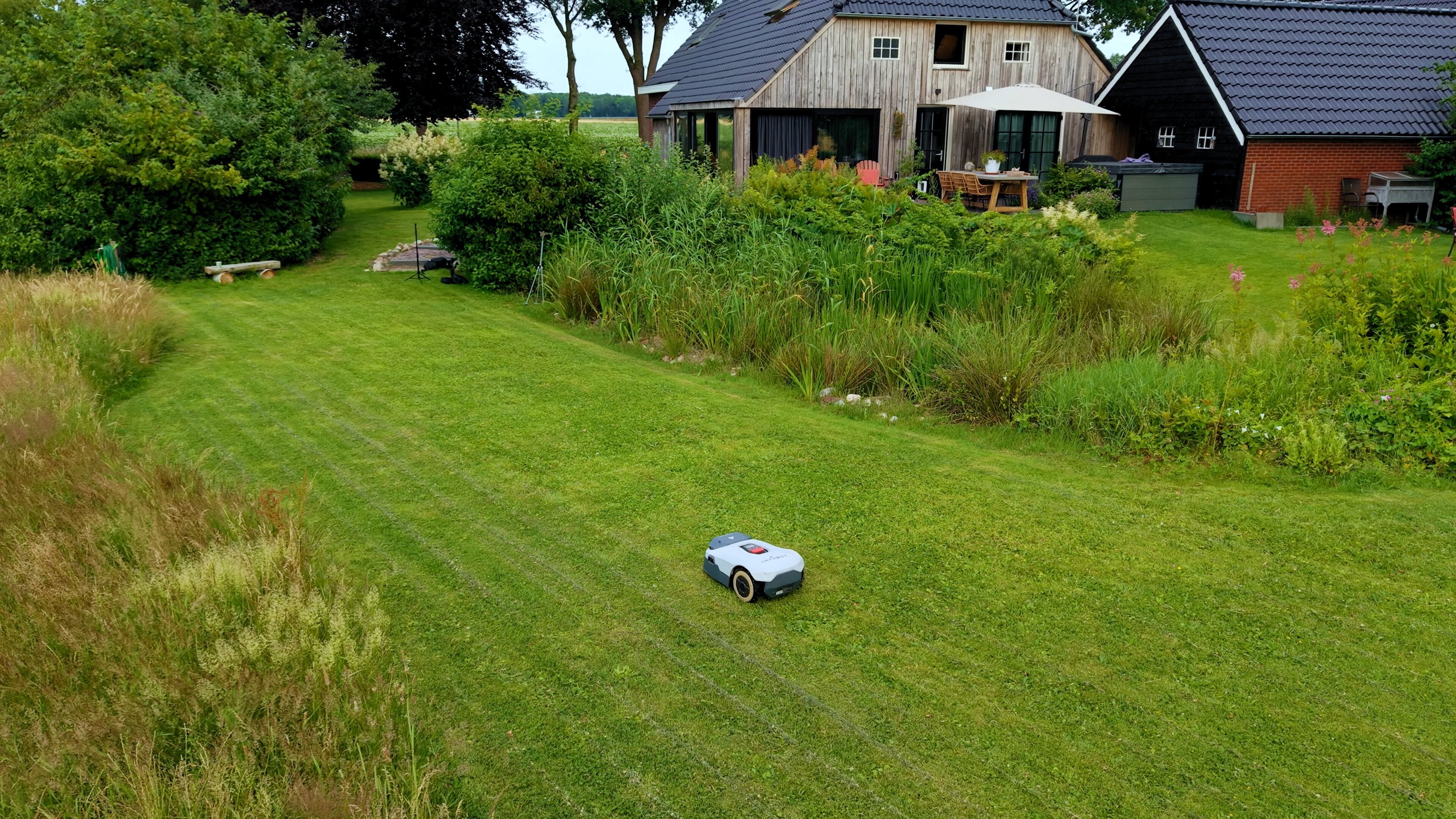 What are the top 5 most common lawn care mistakes?
