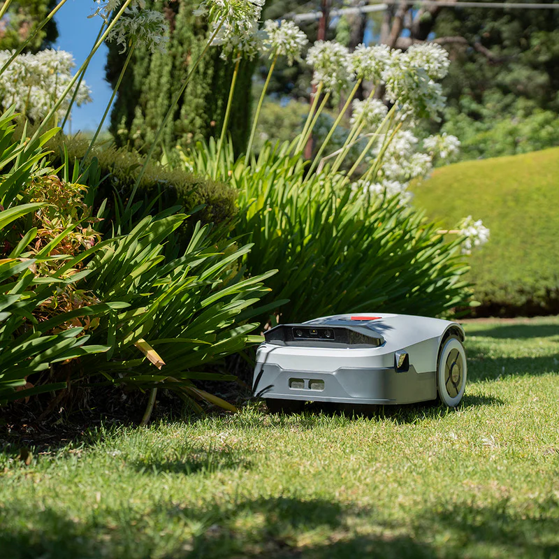 Sleek wire-free robotic lawn mower navigating green grass beside lush garden plants on a sunny day.