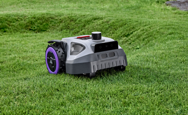 How Often Should You Mow Your Lawn? A Complete Care Guide