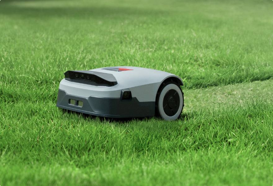 Robot lawn mower at work cutting grass on a green lawn.
