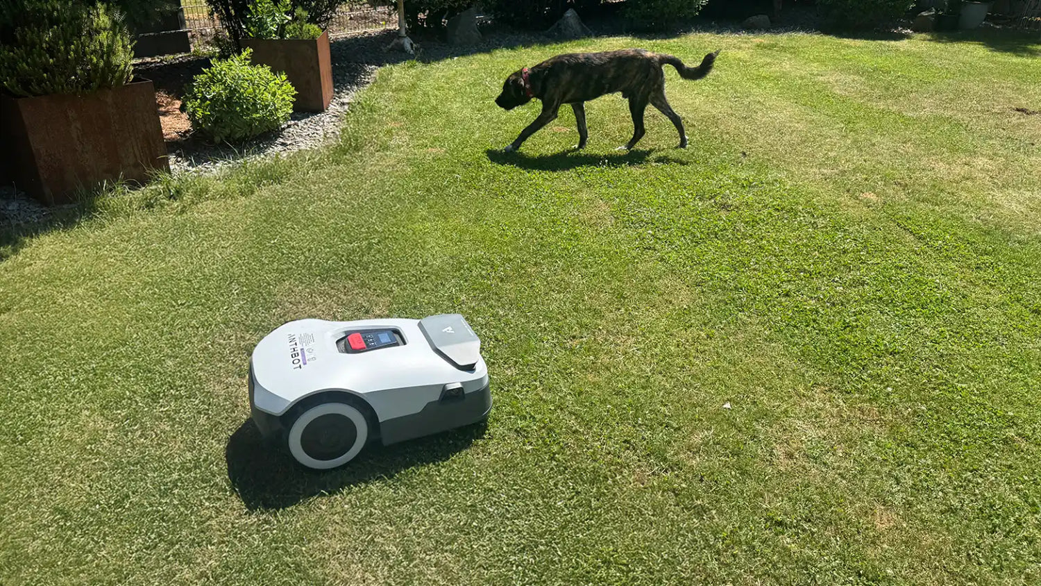 Anthbot Genie 600 in Test: How good is the automatic mapping of the lawnmower?
