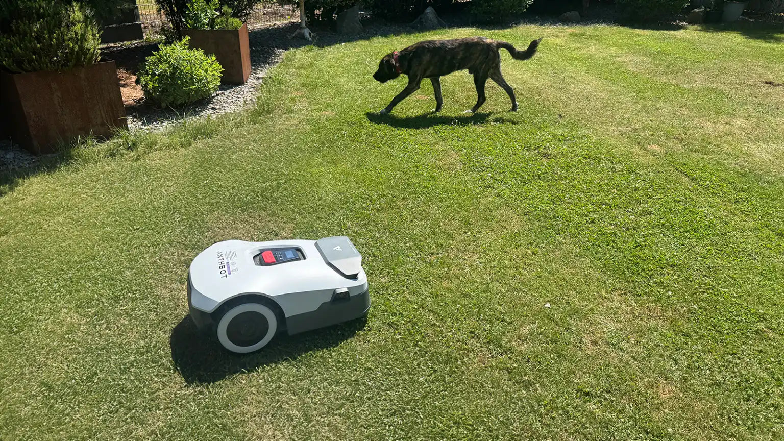 Anthbot Genie 600 in Test: How good is the automatic mapping of the lawnmower?
