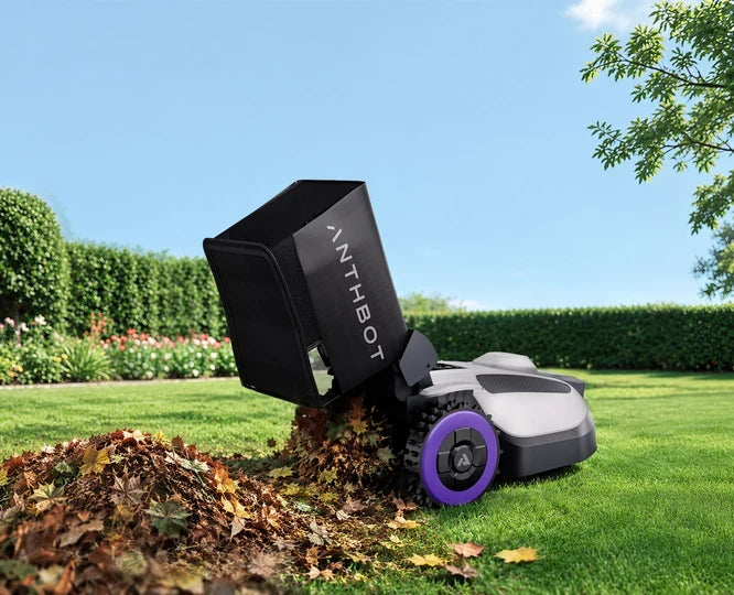 How to Manage Fallen Leaves on Your Lawn in Autumn