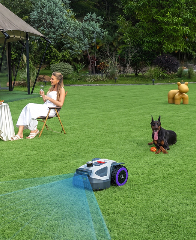 Gets Around Nearby Objects