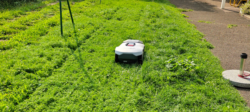 Anthbot Genie 3000 review: Robotic lawnmower with RTK and four cameras for large gardens
