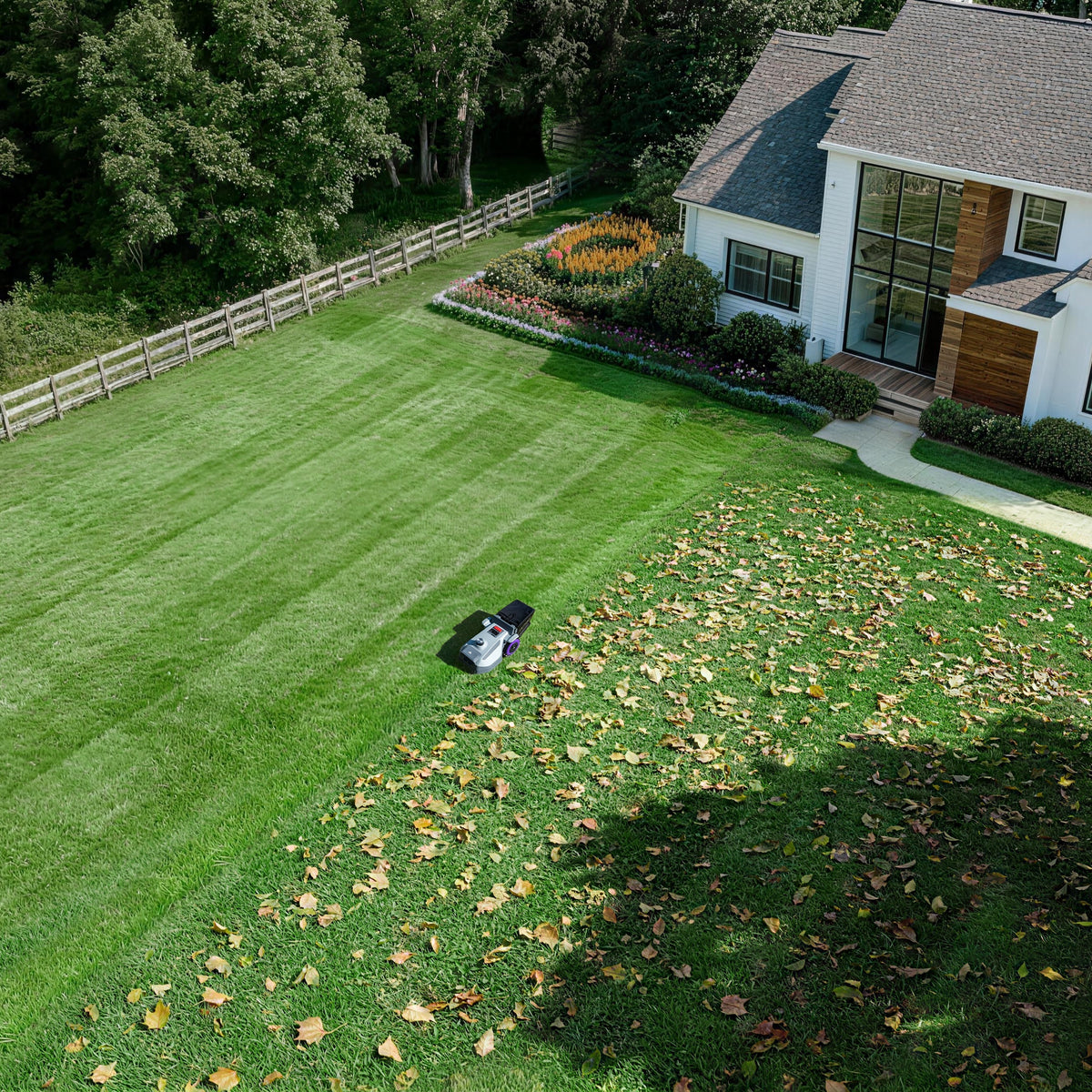 Lawn Mower Flooded With Gas Fix: Step-by-Step