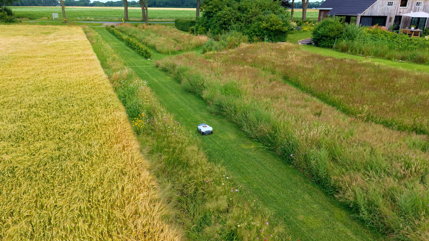 The 6 Best Robotic Lawn Mowers The Spruce Has Tested