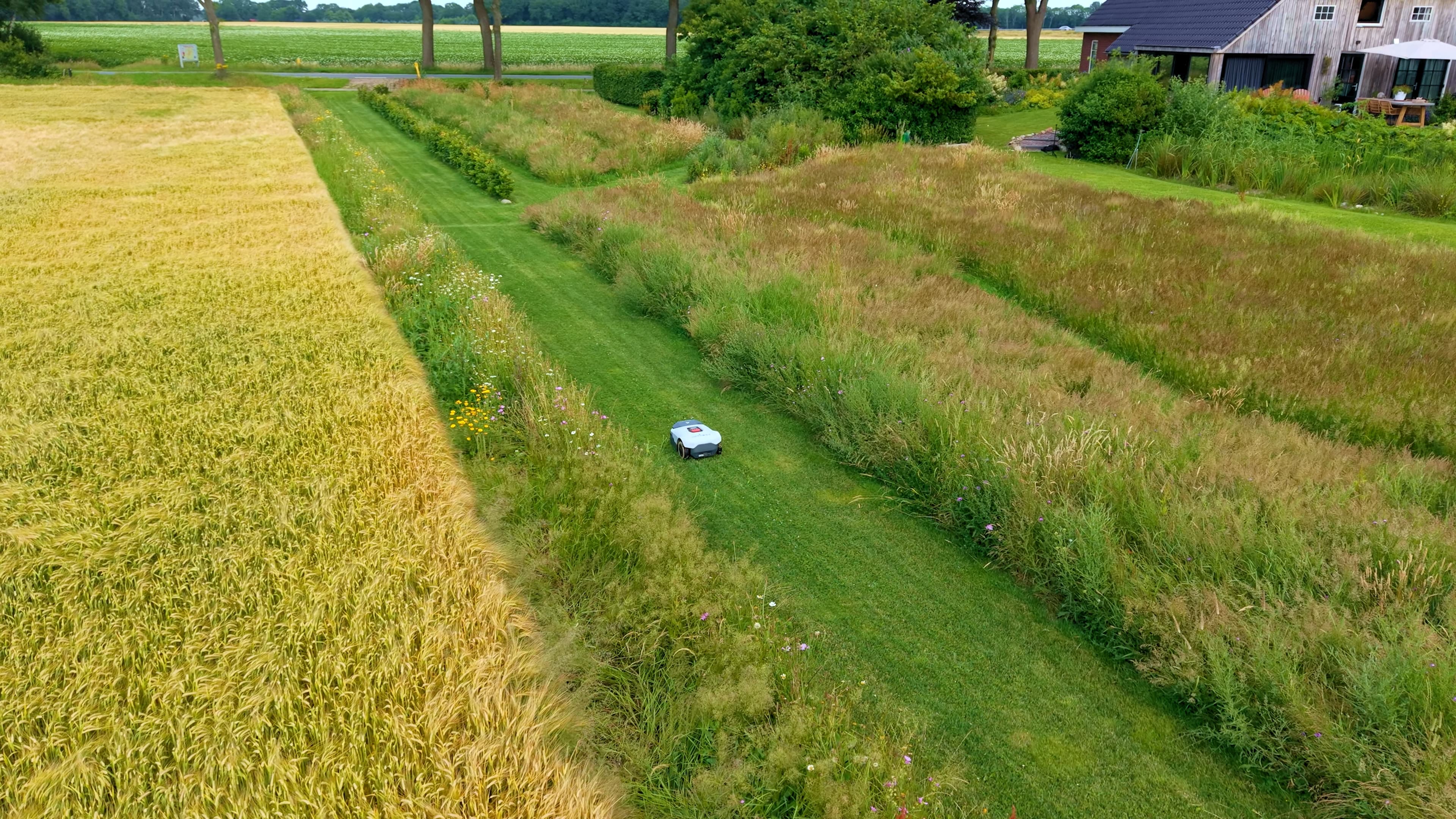 The 6 Best Robotic Lawn Mowers The Spruce Has Tested