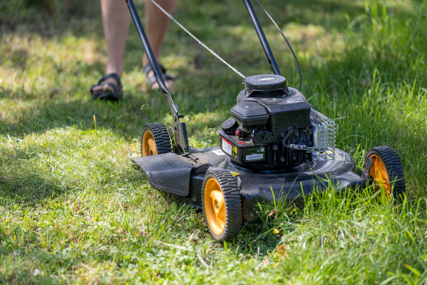 Person pushing a lawn mower through thick backyard grass during routine lawn mowing
