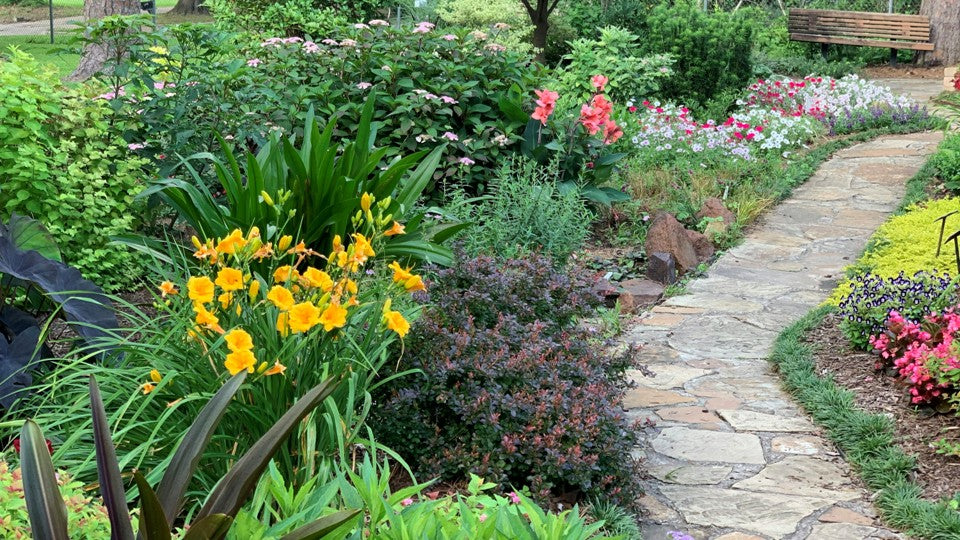 A rustic stone garden path winding through colourful, budget-friendly flower beds featuring yellow daylilies and lush green shrubs.