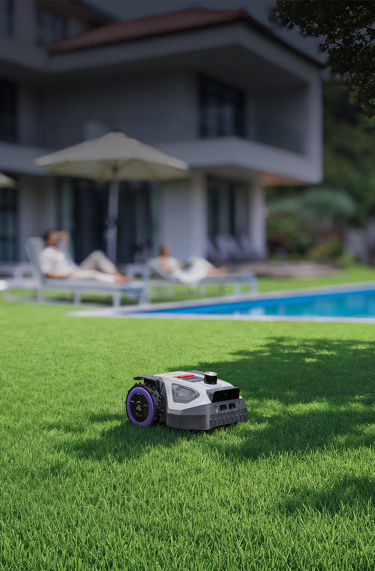 Easy Going, Pro Mowing