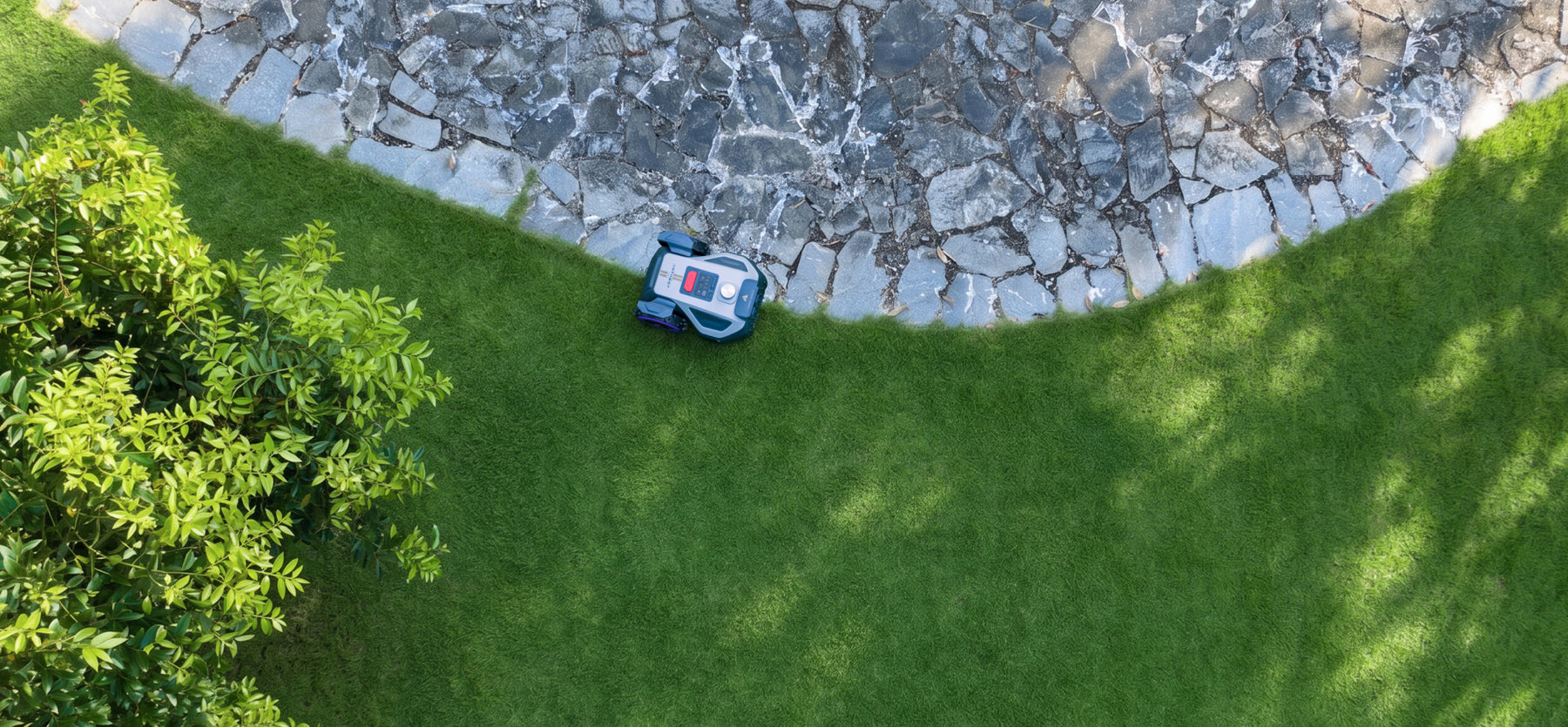 EdgeWiz for Tidy Lawn Edges