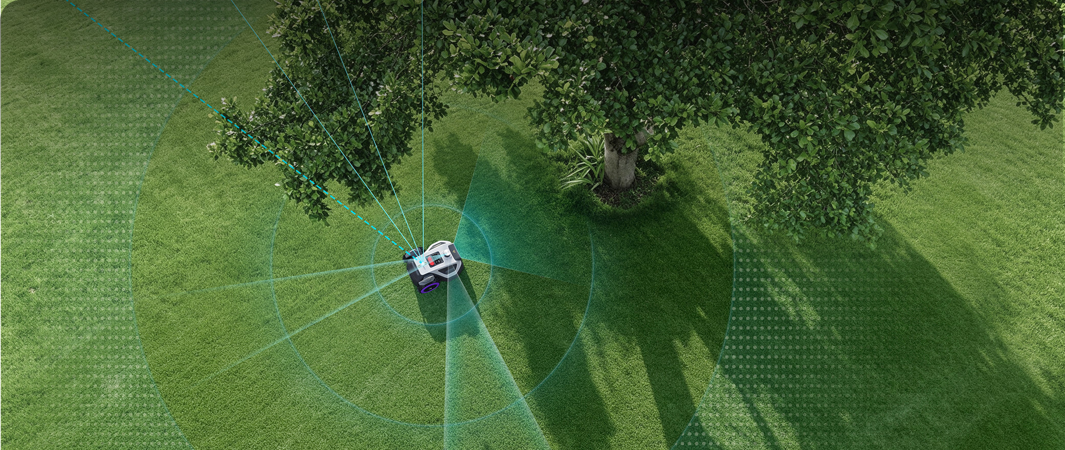 Master of All-Scenario Navigation