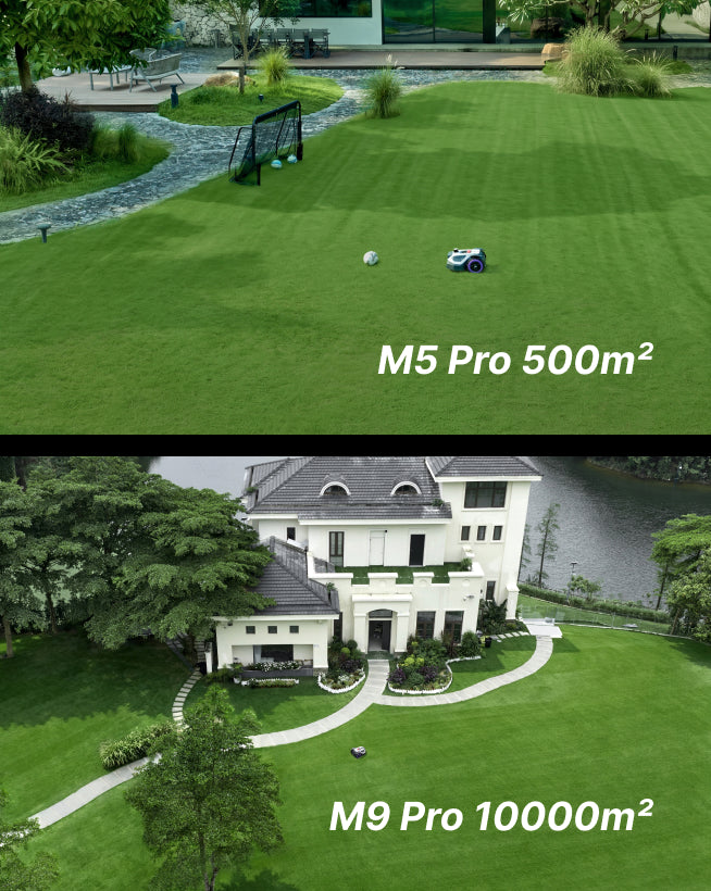 Two Mowing Areas at Your Option