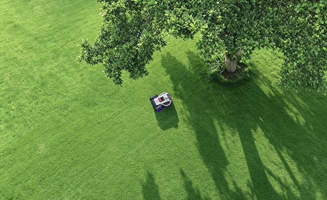 Under Tree
